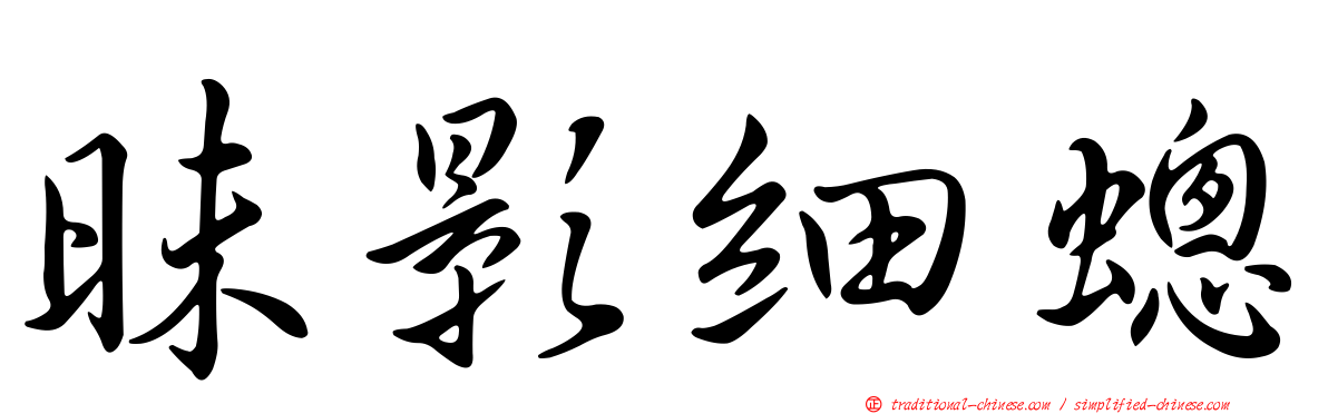 昧影細蟌