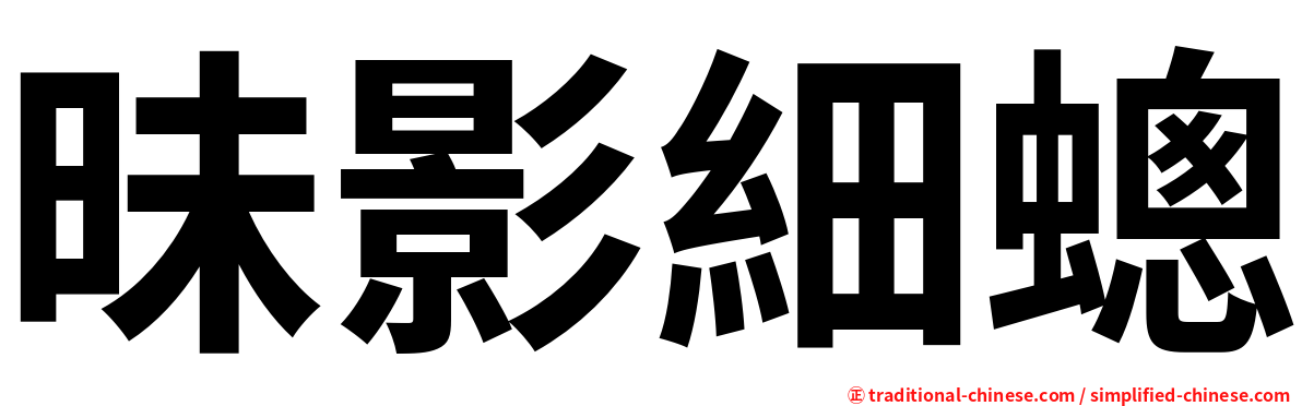 昧影細蟌