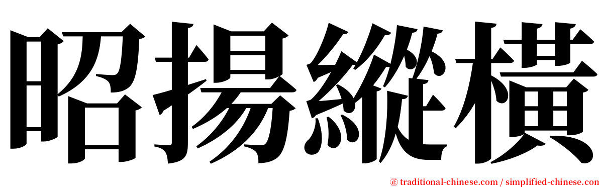 昭揚縱橫 serif font