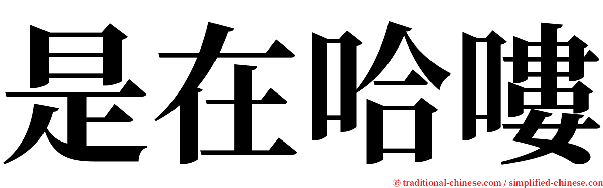 是在哈嘍 serif font