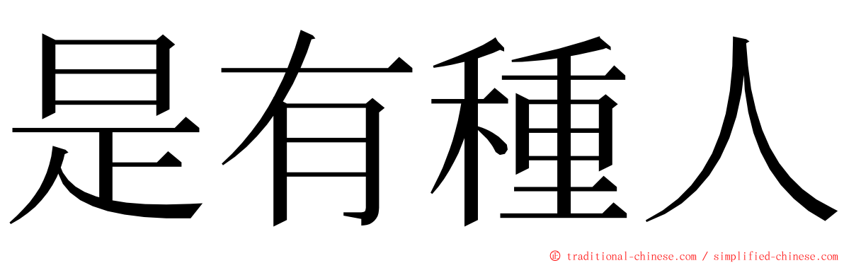 是有種人 ming font