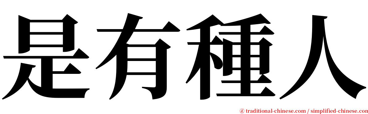 是有種人 serif font