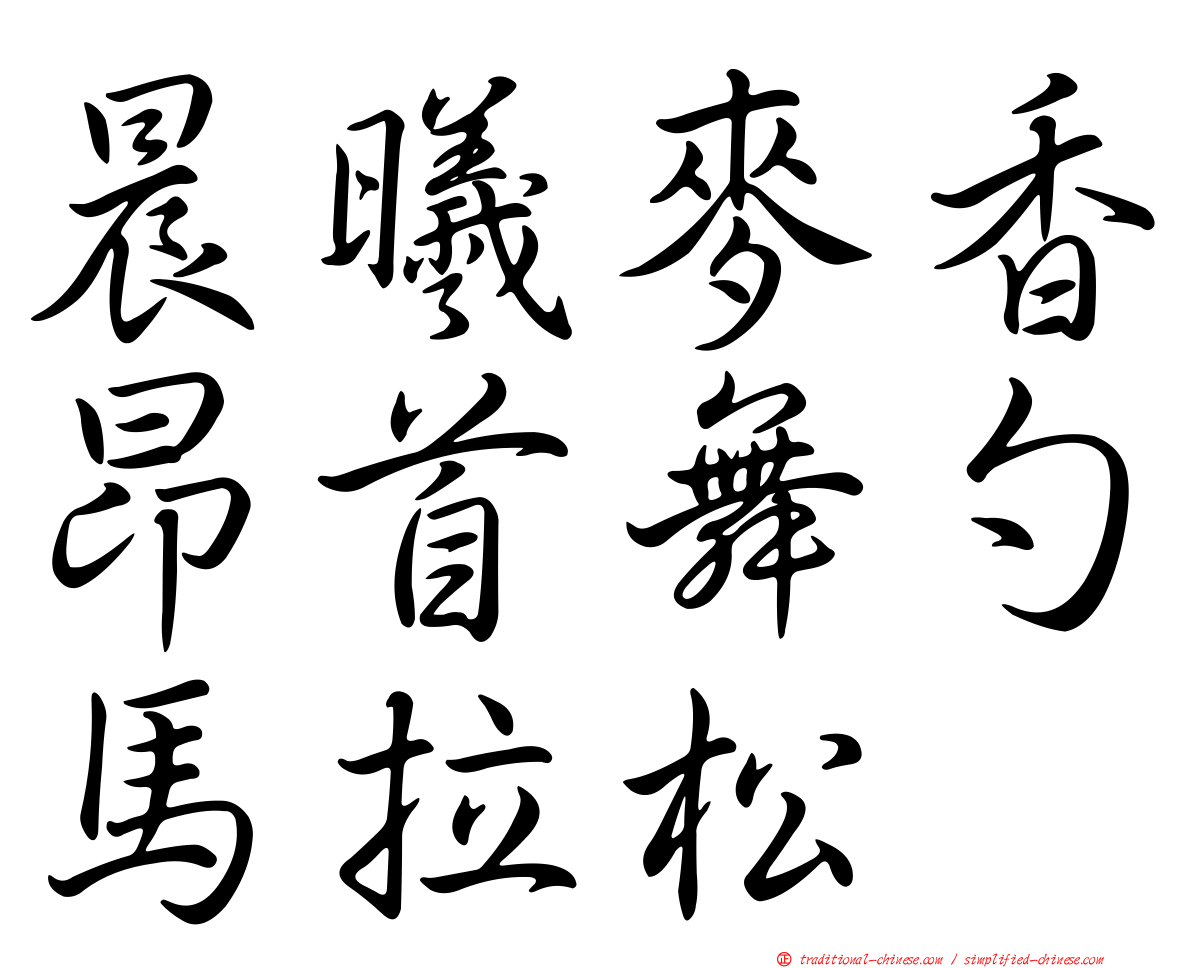 晨曦麥香昂首舞勺馬拉松