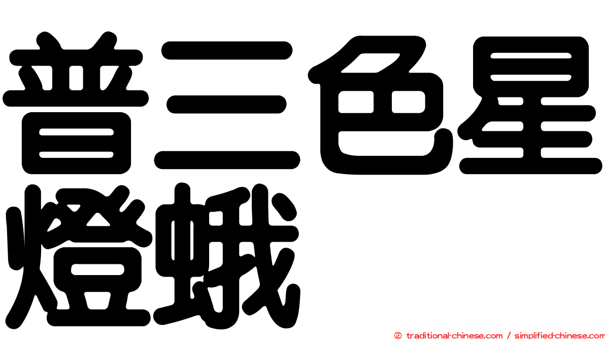 普三色星燈蛾