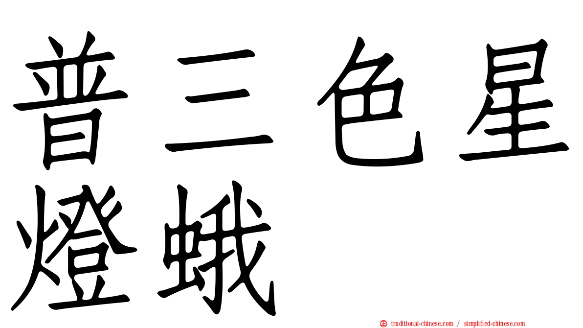 普三色星燈蛾
