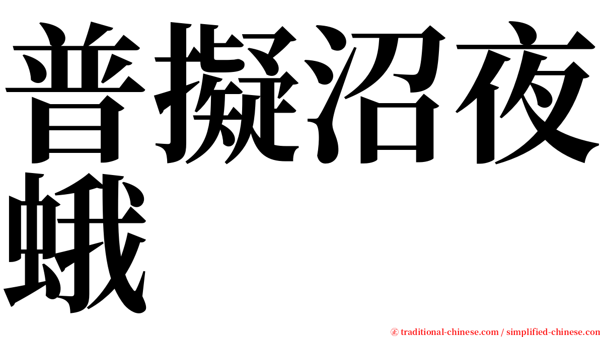 普擬沼夜蛾 serif font