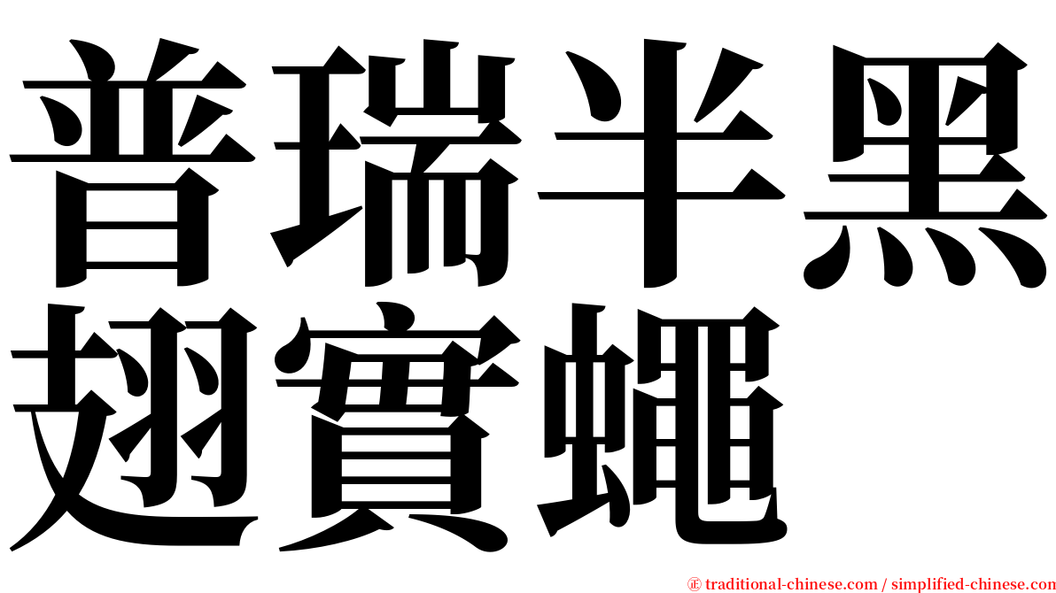 普瑞半黑翅實蠅 serif font