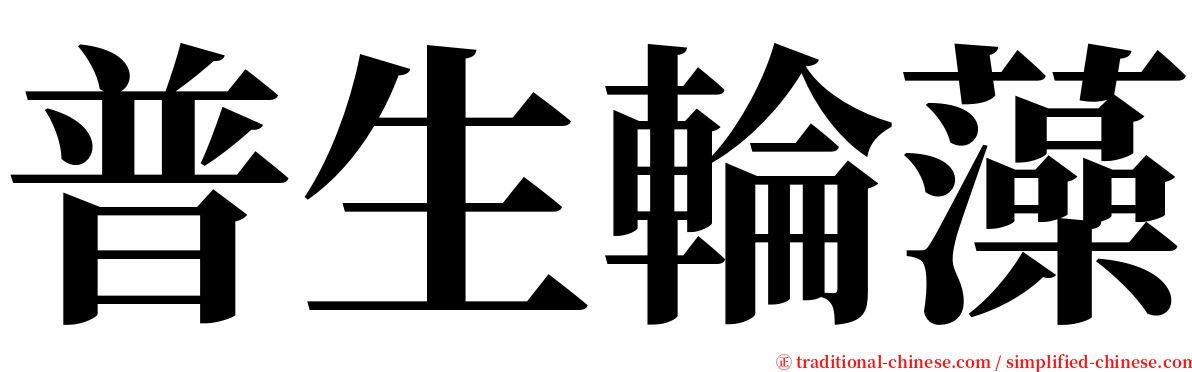 普生輪藻 serif font