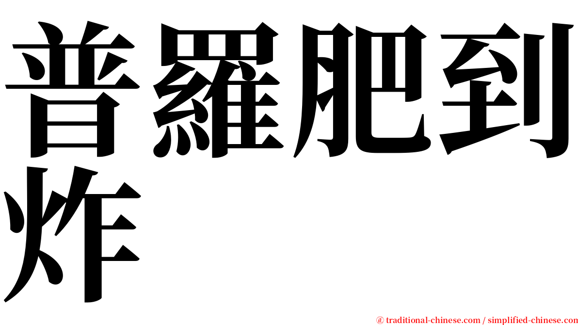 普羅肥到炸 serif font