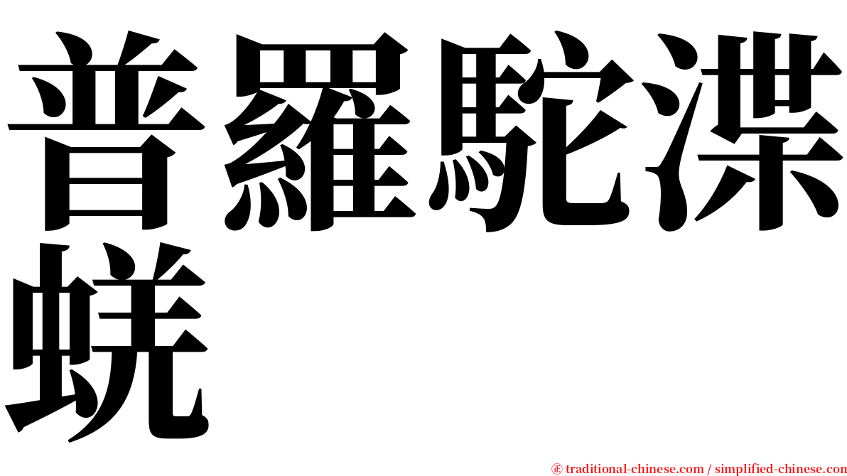 普羅駝渫蜣 serif font