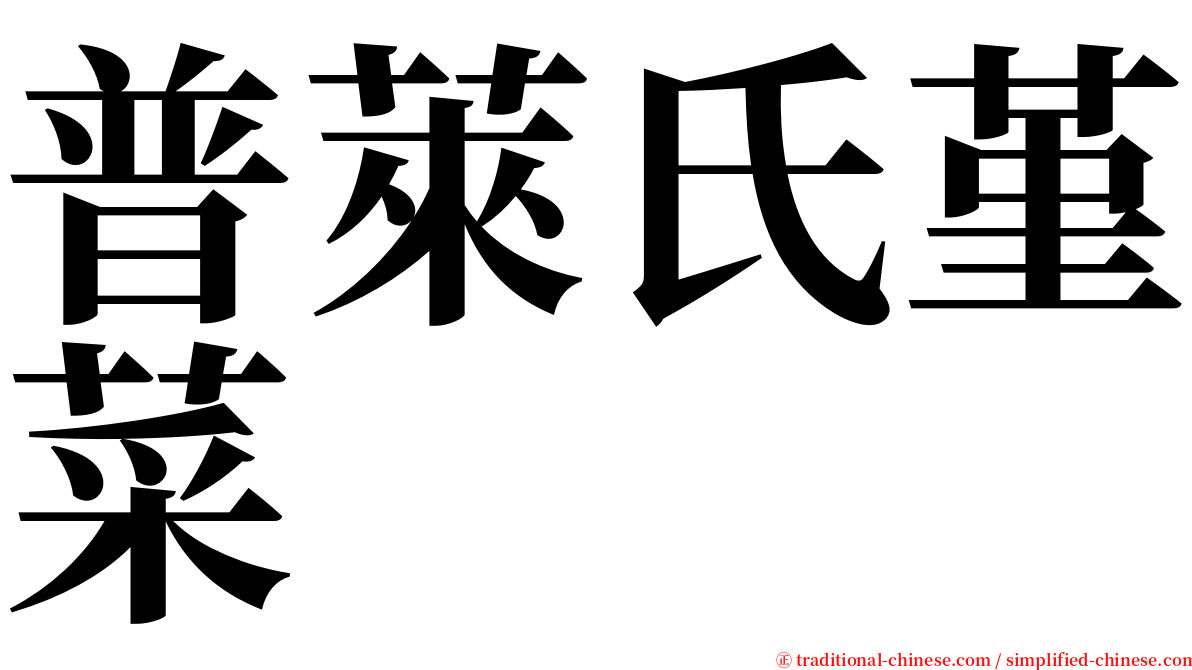 普萊氏堇菜 serif font