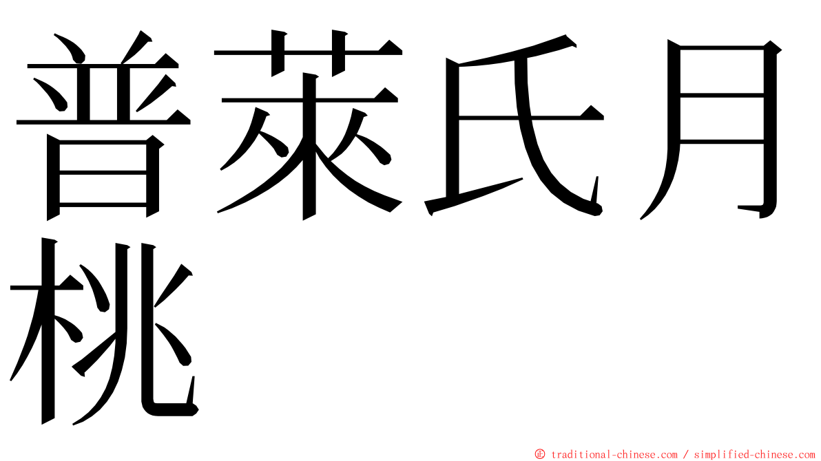 普萊氏月桃 ming font