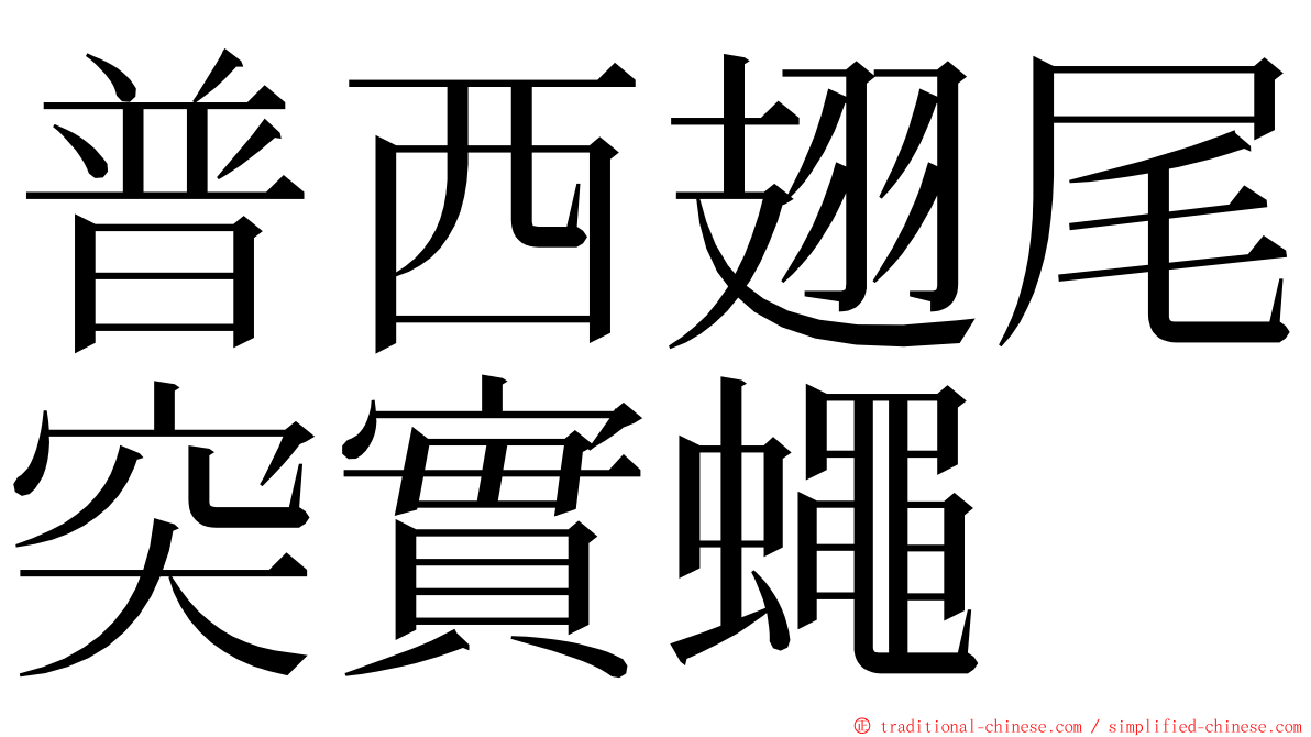 普西翅尾突實蠅 ming font