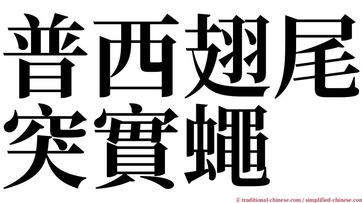 普西翅尾突實蠅 serif font