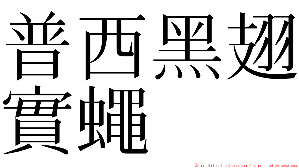 普西黑翅實蠅 ming font