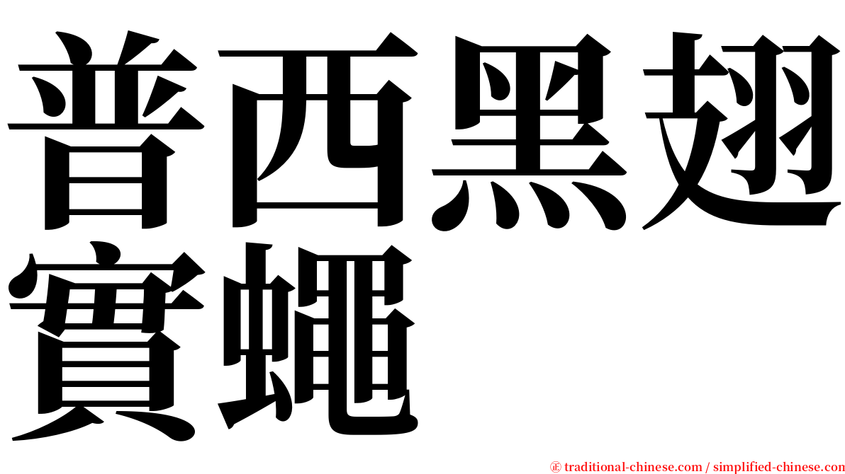 普西黑翅實蠅 serif font