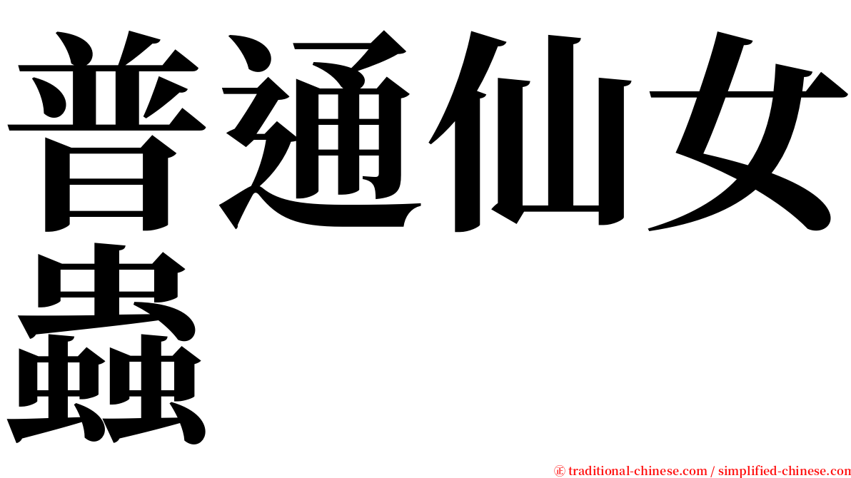 普通仙女蟲 serif font