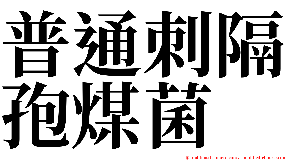 普通刺隔孢煤菌 serif font