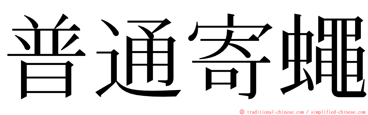 普通寄蠅 ming font