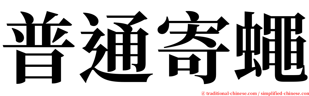 普通寄蠅 serif font