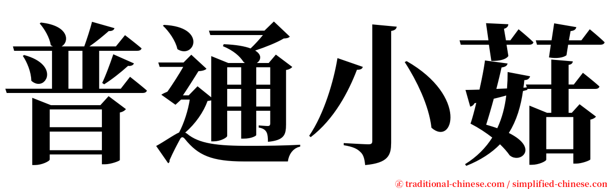 普通小菇 serif font