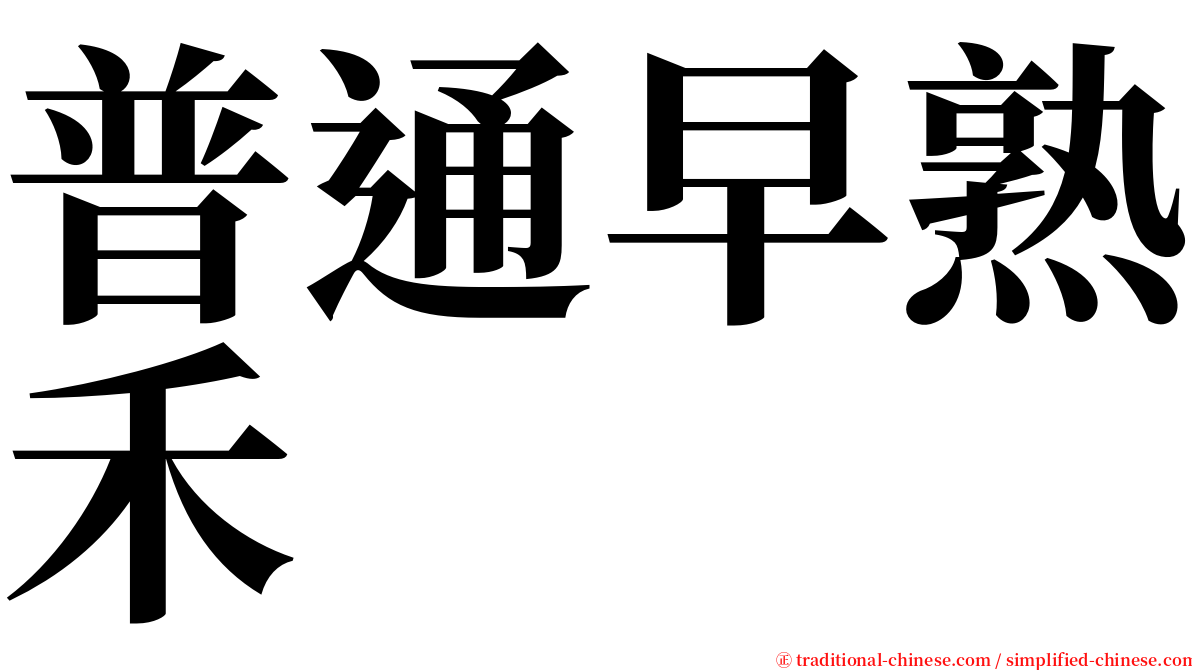 普通早熟禾 serif font