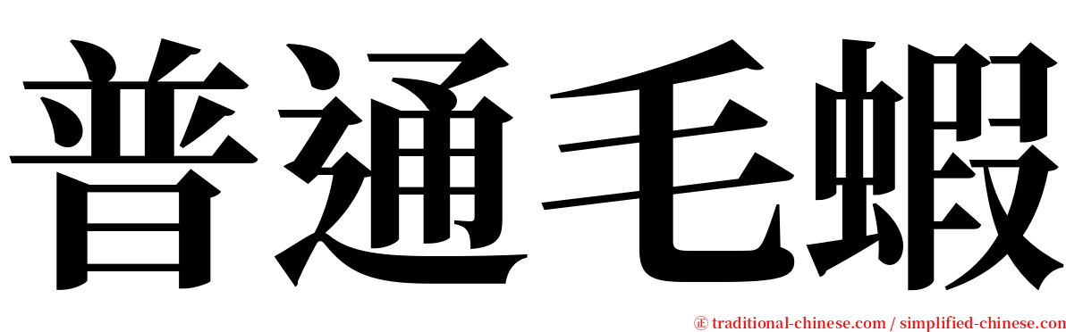 普通毛蝦 serif font