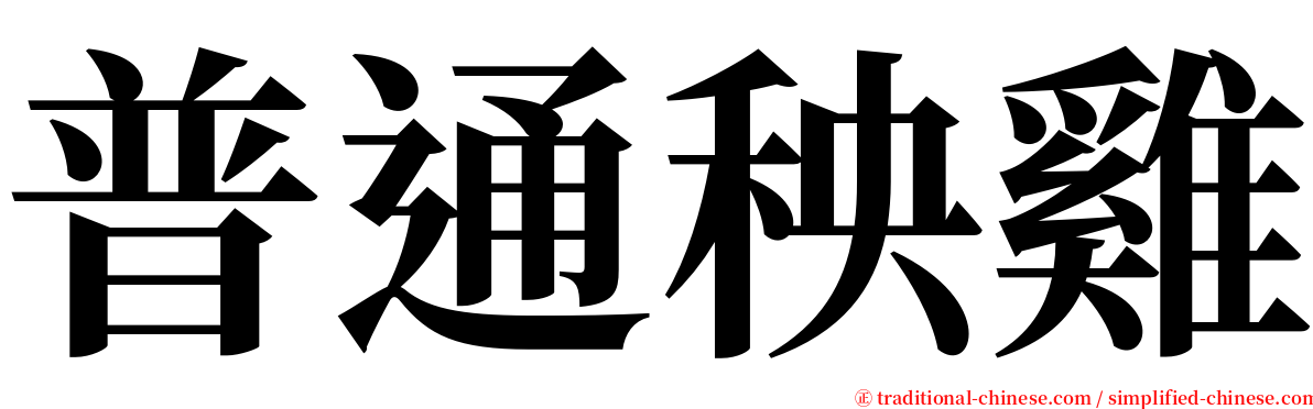 普通秧雞 serif font