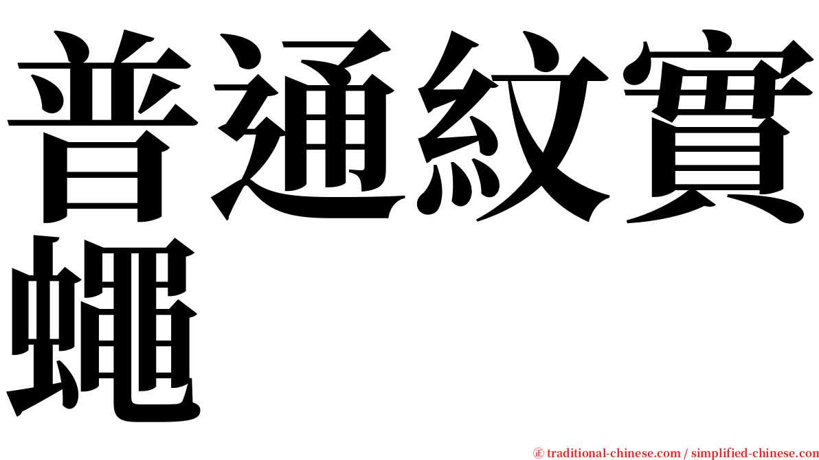 普通紋實蠅 serif font