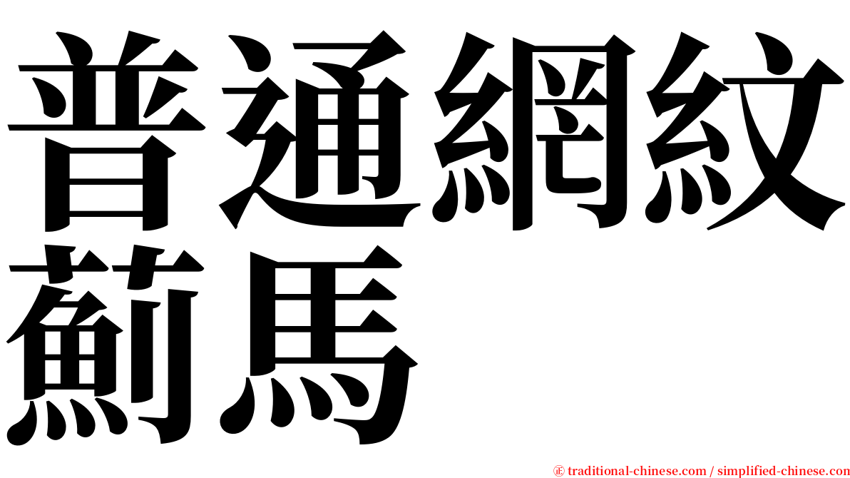 普通網紋薊馬 serif font