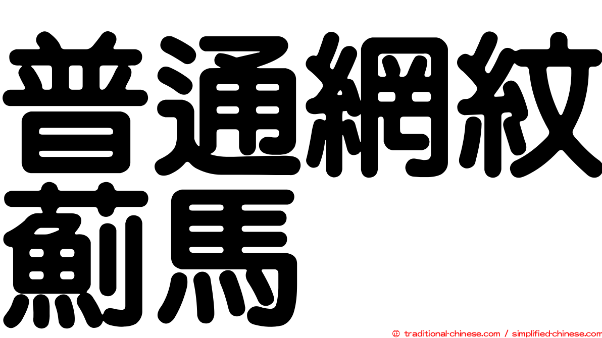 普通網紋薊馬