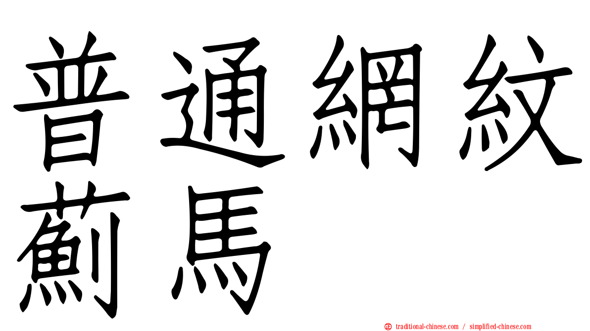 普通網紋薊馬