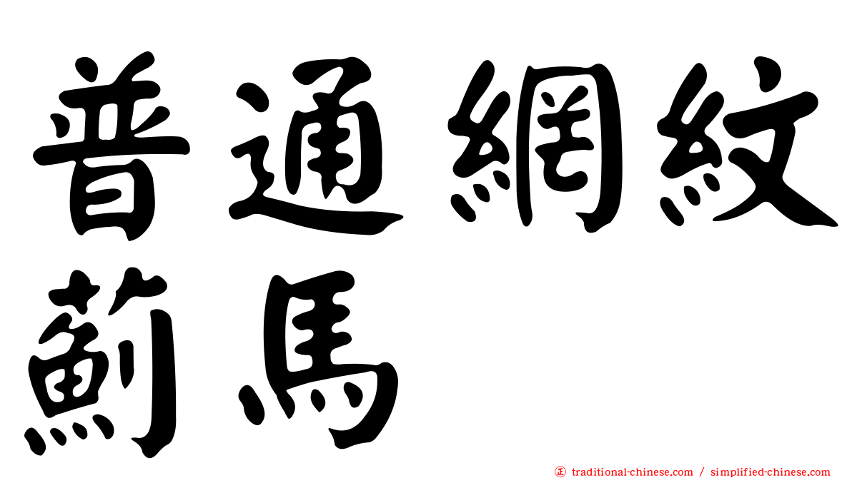 普通網紋薊馬