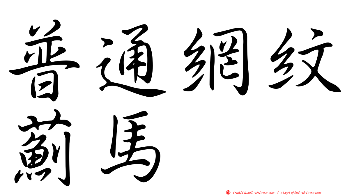 普通網紋薊馬