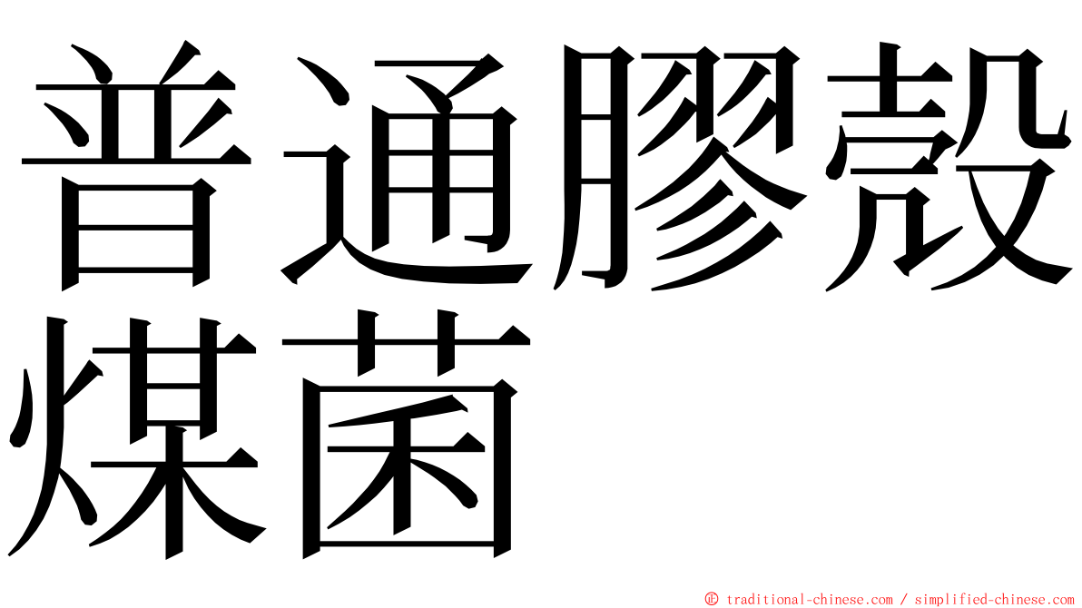 普通膠殼煤菌 ming font