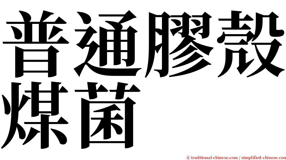 普通膠殼煤菌 serif font