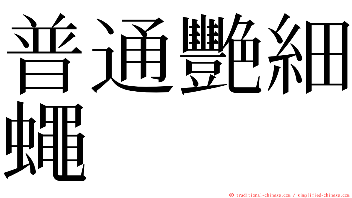 普通艷細蠅 ming font