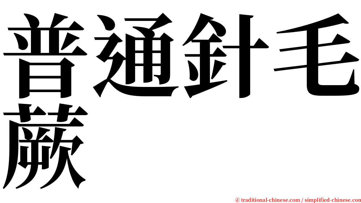 普通針毛蕨 serif font