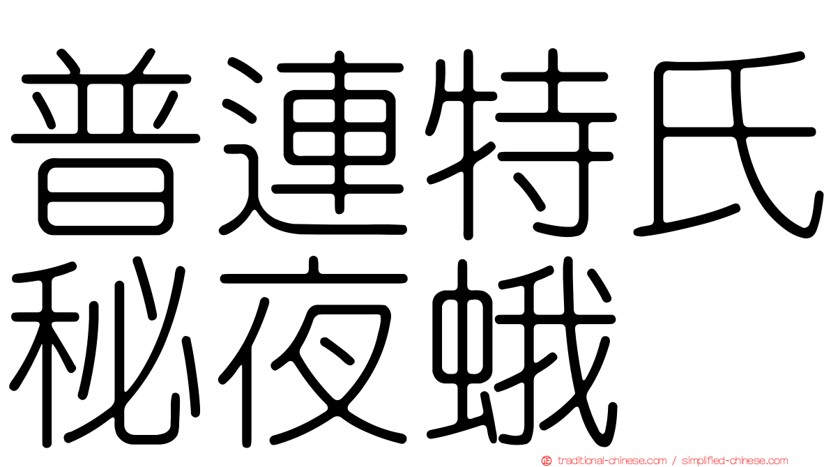 普連特氏秘夜蛾