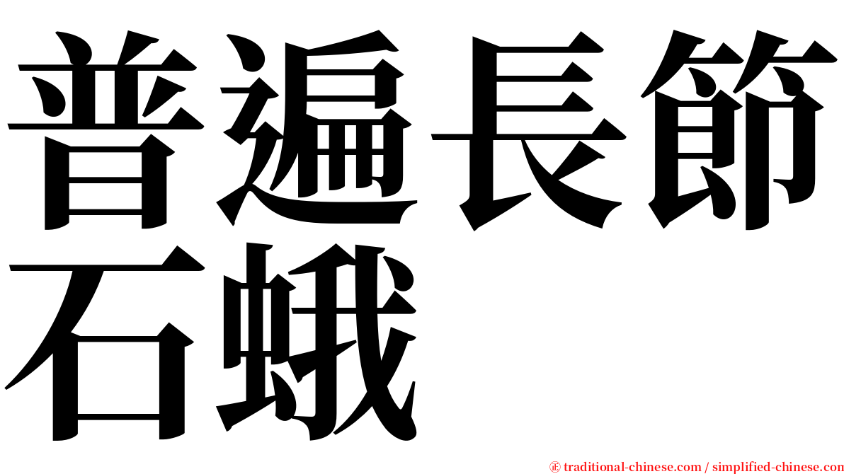 普遍長節石蛾 serif font