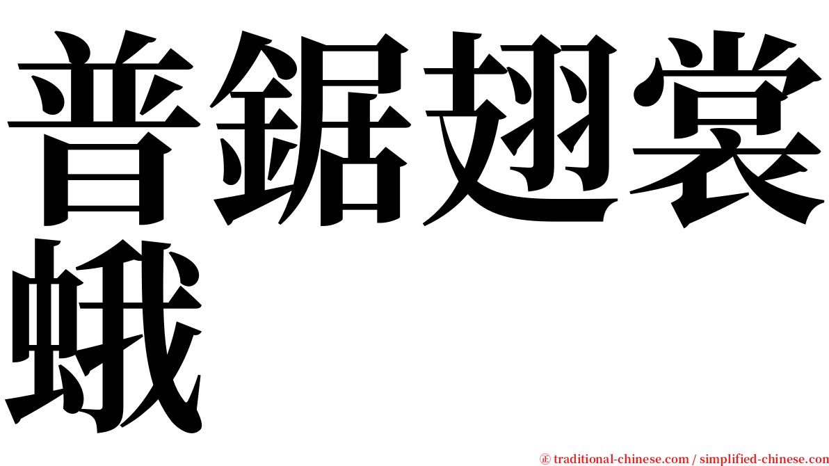 普鋸翅裳蛾 serif font