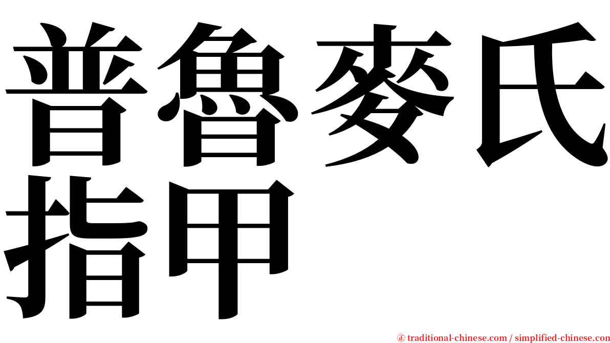 普魯麥氏指甲 serif font