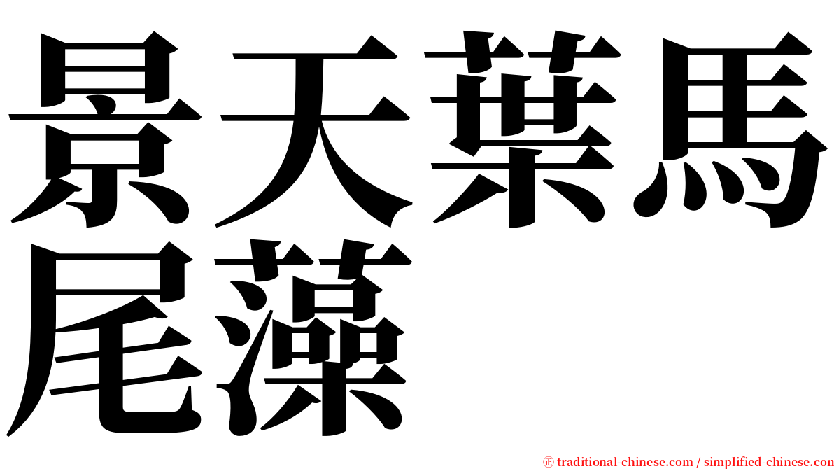 景天葉馬尾藻 serif font