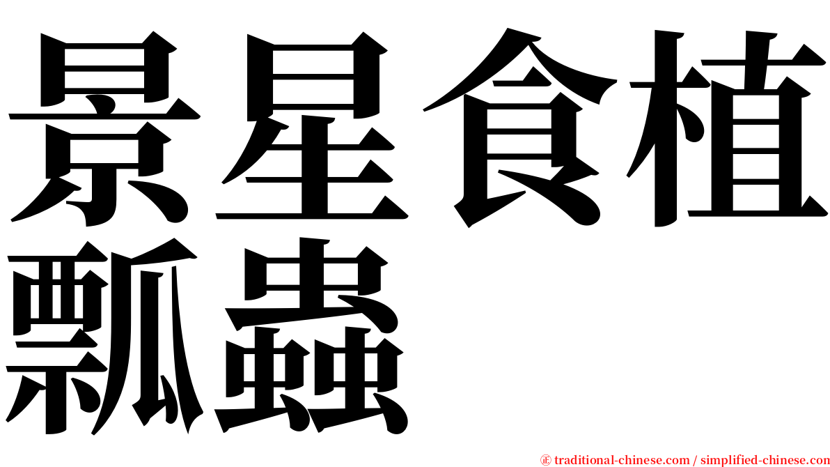 景星食植瓢蟲 serif font