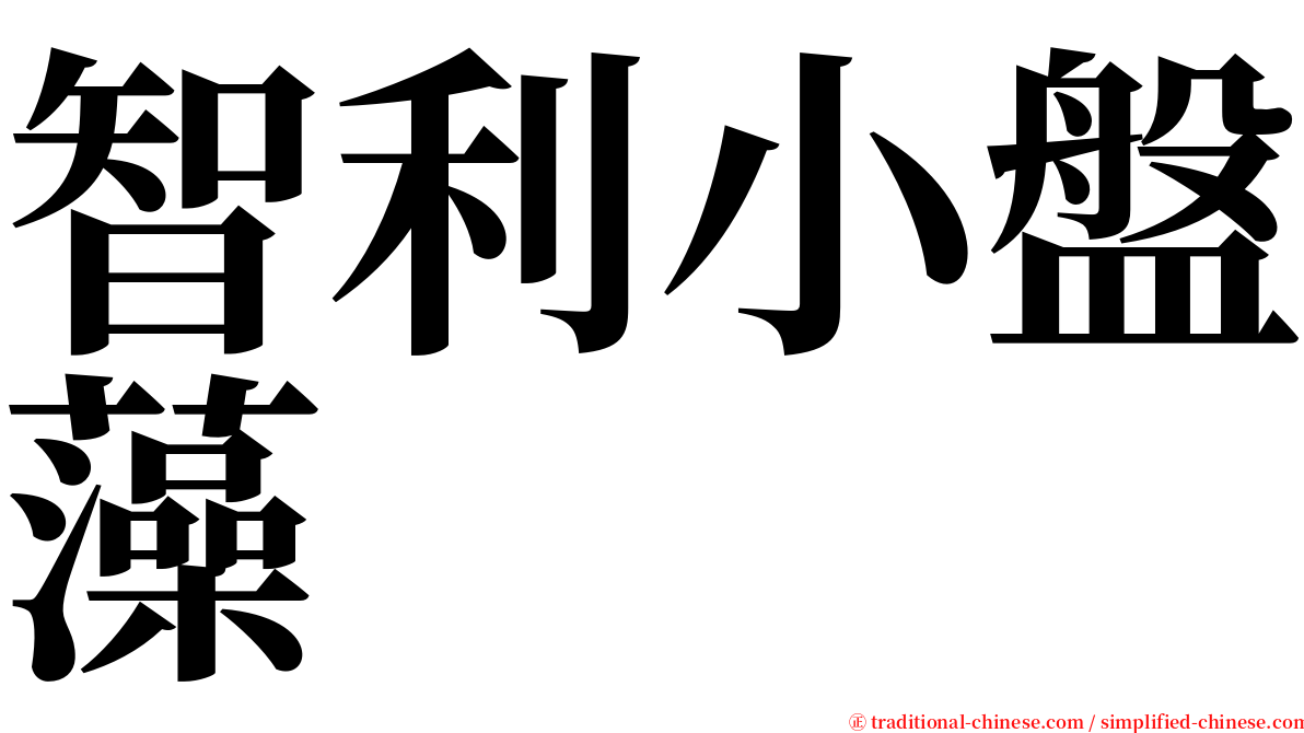 智利小盤藻 serif font