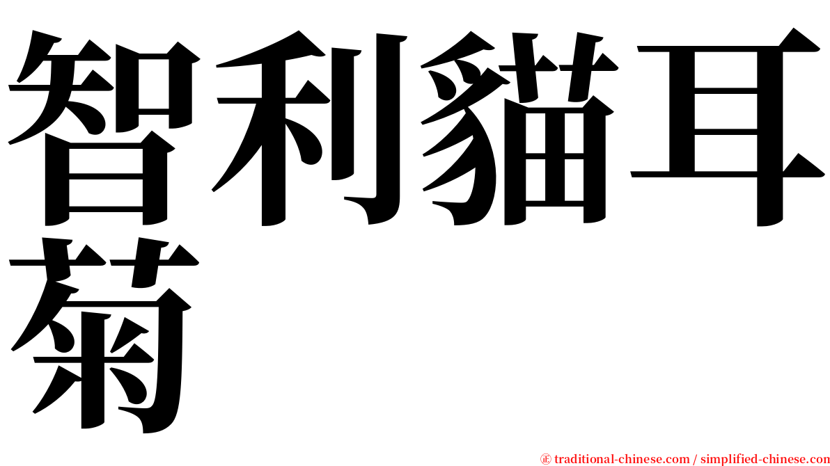 智利貓耳菊 serif font