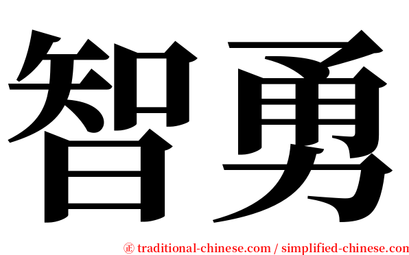 智勇 serif font