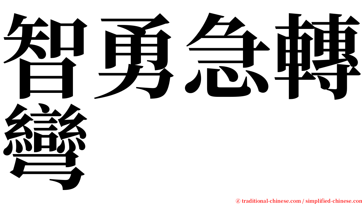 智勇急轉彎 serif font