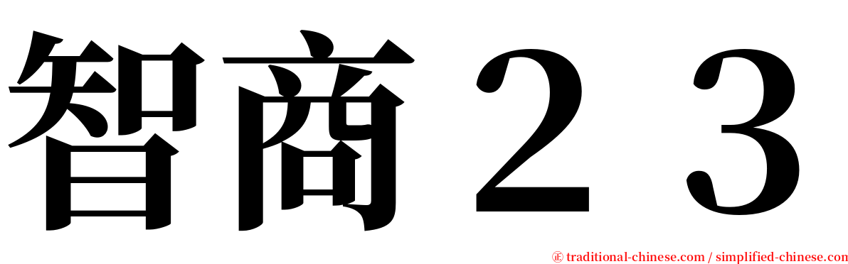 智商２３ serif font