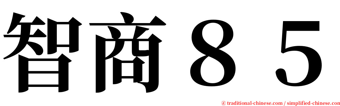 智商８５ serif font